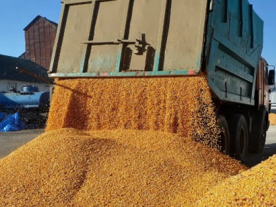 Украина не продает зерно на польский рынок — Шмыгаль на границе