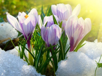 От тепла до снегопадов: синоптики дали прогноз на март