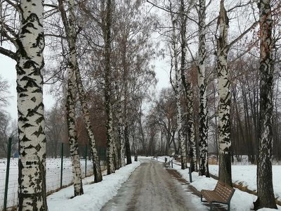 Погода в Алматы с 4 по 10 марта 2024