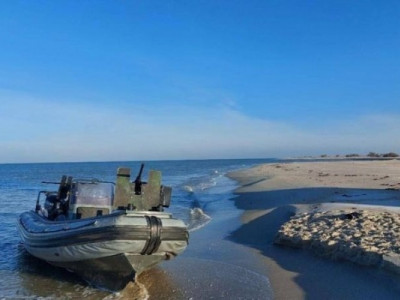 Гибель очаковских морских котиков возле Тендровской косы: что известно