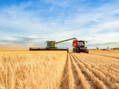 Минагрополитики дало первый прогноз по урожаю-2024: будет меньше, чем в 2023