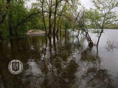 В Киеве уровень воды в Днепре за сутки поднялся на 46 сантиметров