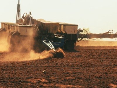 Аграрии начали сеять гречку: как проходит посевная в Украине