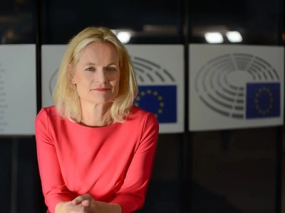 Европарламентарий: против «российского закона» выступает большинство в Европарламенте
