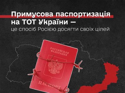 Добровольная паспортизация в оккупации - попытка легализации оккупации