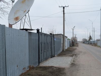 Зачем павлодарцы каждый день вызывают полицию в приют для животных