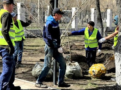 Создадим зелёный пояс: в Карагандинской области продолжают сажать деревья