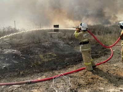 Лесной пожар в Алматинской области: заведено уголовное дело