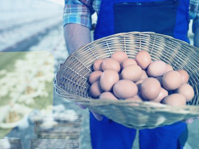 Яйца к Пасхе по 18 гривен: сколько продержатся низкие цены