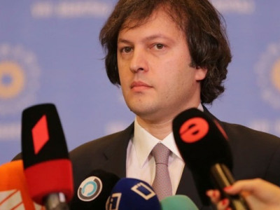 Премьер Грузии считает, что у иска президента против закона об иноагентах нет шансов