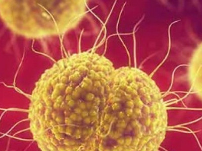 Американцам удалось убить ВИЧ