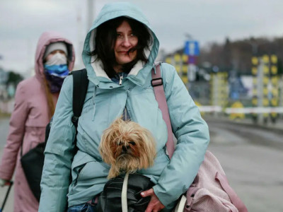Украинские беженцы в Швеции изменили свое мнение о возвращении домой