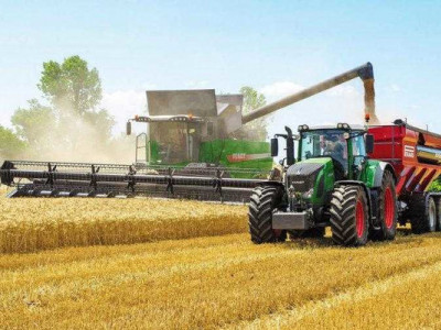 Жатва в самом разгаре: Алматинская область готовится к зиме