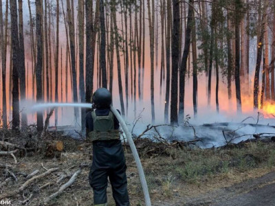 В Донецкой области спустя 8 дней ликвидирован масштабный лесной пожар