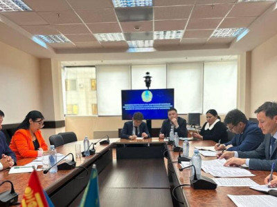 Казахстан будет экспортировать племенных овец в Монголию