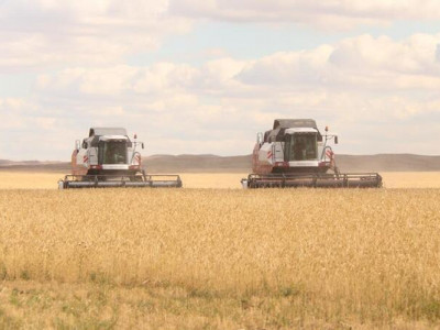 Карагандинская область завершила уборку урожая: намолочен 1 млн 350 тыс. тонн зерна