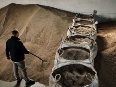 Агропродукция Украины на $1,98 млрд: рекордный экспорт в Турцию