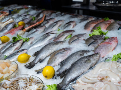 Как выбрать рыбу хорошего качества – вот на что нужно обязательно обращать внимание