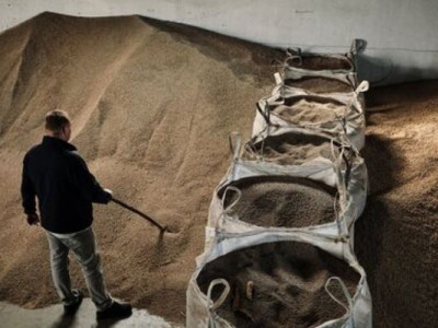 Зерновые культуры из Украины: качество и спрос на мировом рынке