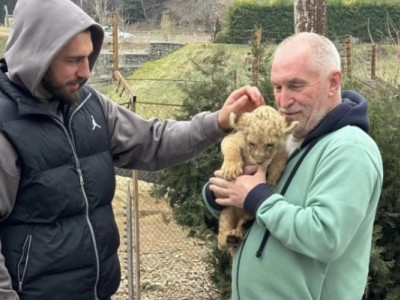 Олимпийский чемпион Лаша Бекаури определился с судьбой львенка Бубу