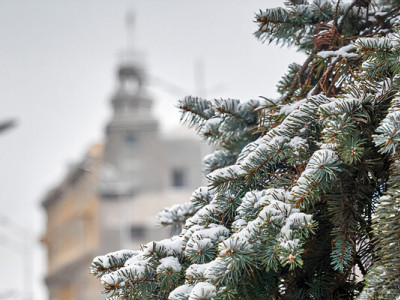 Еще неделя зимы. Синоптики обещают морозы до 24 февраля