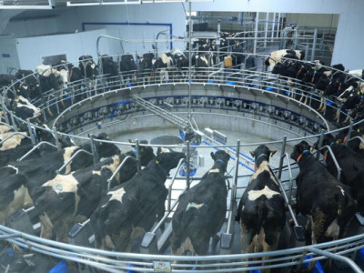 Молочно-товарную ферму на 1200 голов запустили в Костанайской области