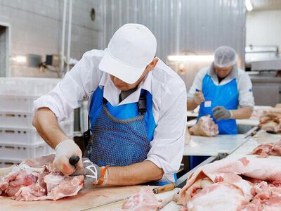 Рост производства мяса в Казахстане: уверенная динамика развития отрасли