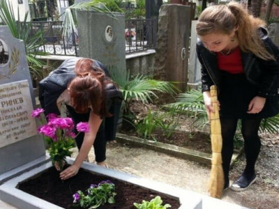 Посадите эти растения на кладбище, и они будут цвести до морозов