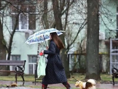 Дожди и грозы во многих областях: какой будет погода в Украине в начале недели