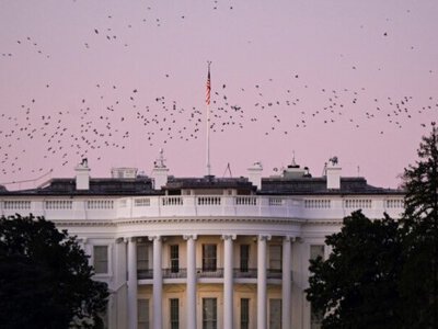 WSJ: Белый дом призвал сенат смягчить законопроект о санкциях против России