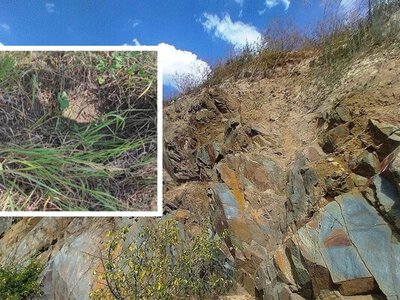 Под Днепром исчезло уникальное старинное надгробие: историкам нужна помощь