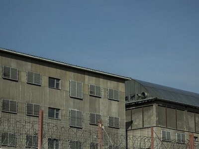 Сенат одобрил закон об амнистии к 30-летию Конституции