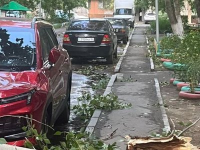 Число пострадавших от урагана в Павлодарской области выросло до 16 человек