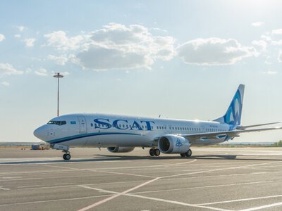 Несколько самолетов SCAT получили повреждения от столкновения с птицами