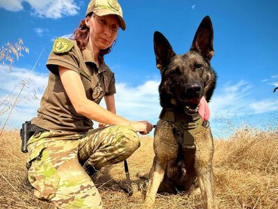 Под дождем и в темноте: овчарка Эльза помогла спасти пожилого мужчину на Одесчине