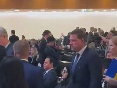Демарш против матвиенко на конференции в Женеве: Кондратюк показала видео