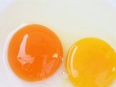 От чего зависит цвет желтка и как он влияет на пользу яиц: объясняют эксперты