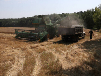 Украинские аграрии уже собрали около 20 миллионов тонн зерна