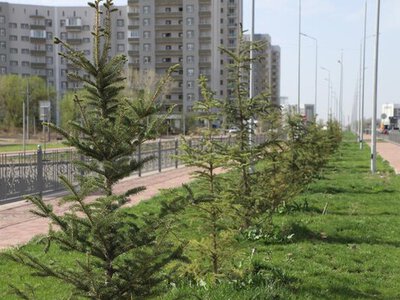 В области Жетісу за 3 года создали 18 зеленых зон в виде парков, скверов и аллей