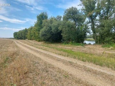 В Одесской области фермер самовольно занял землю у реки: что решил суд