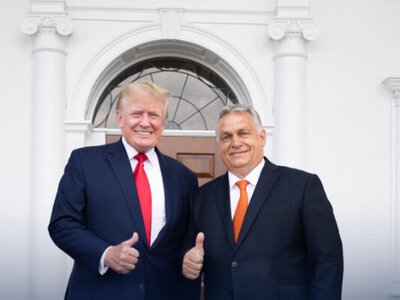 Politico: Трамп убедил Орбана не блокировать вступление Украины в ЕС