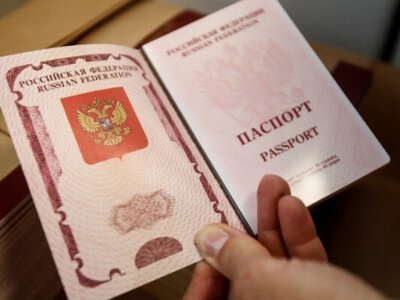 Правительство России поддержало законопроект о порядке лишения приобретенного гражданства