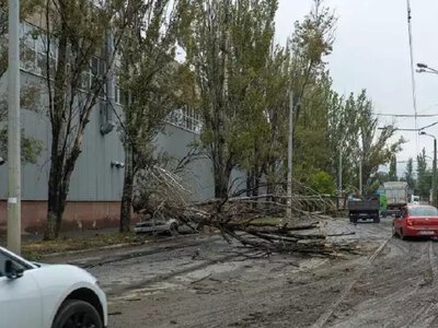 Одесса после мощного ливня: затопленные улицы, поваленные деревья и хаос и домах (фоторепортаж)