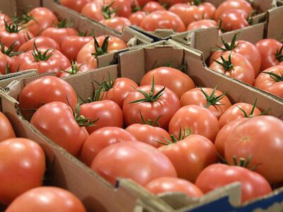 В Алматы пройдет сельскохозяйственная ярмарка на 420 тонн продукции в рамках «Береке Fest»