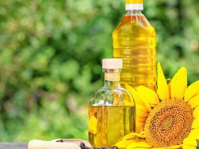 Подсолнечное масло: как выбрать качественное и не купить опасный подлог