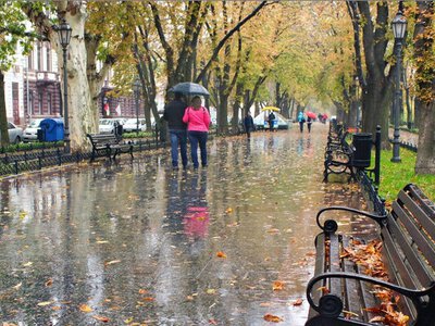 Циклон в Украине. В каких областях будет сильный ветер и дождь?