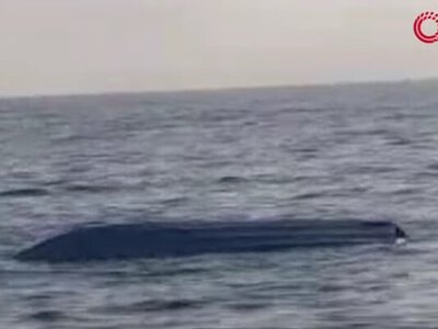 Возле берегов Турции обнаружили второй за неделю дрон, который может быть украинским. Видео