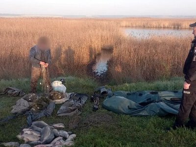 Наказали за сазанов и карасей: какой приговор получил рыбак в Одесской области