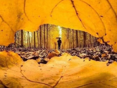 Утро не всегда начинается с кофе! (+Фото)