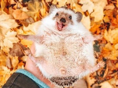 Когда как ни сегодня вырваться на прогулку по парку (+Фото)